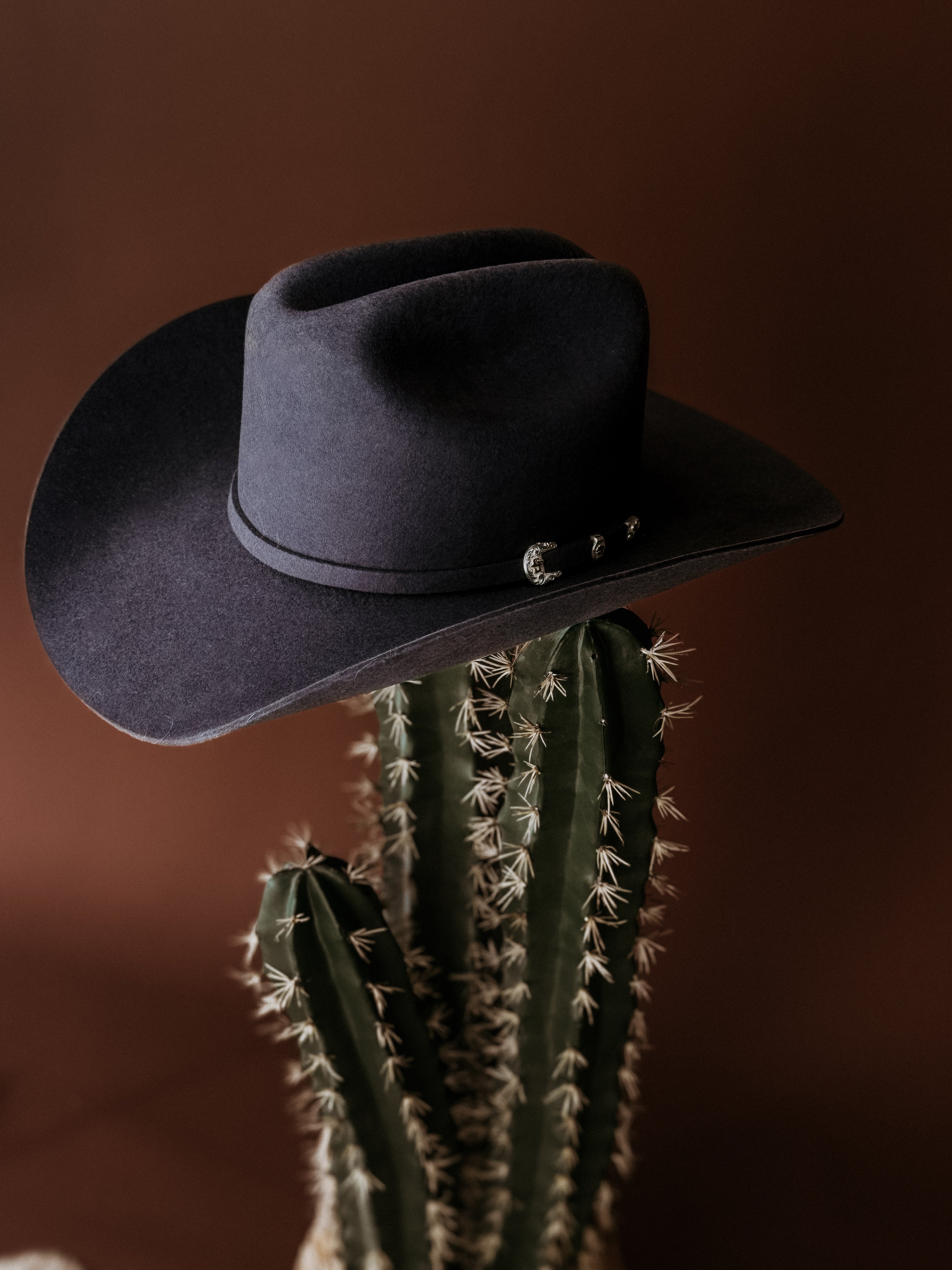 Black western cowboy hat with decorative band on a green cactus, brown background