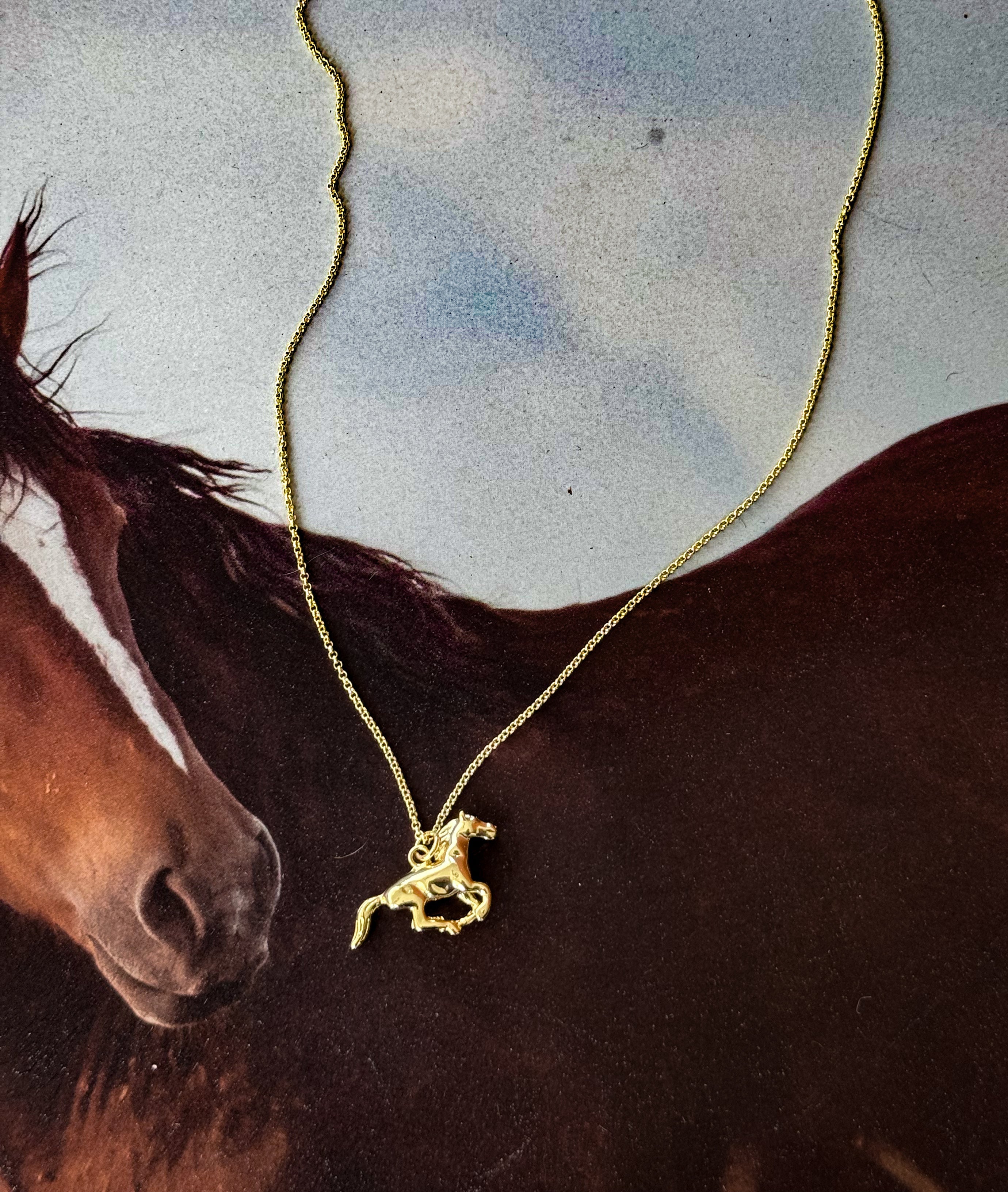 Thunderbird pendant chain necklace displayed on wooden slab with serape fabric underneath - The Wild J