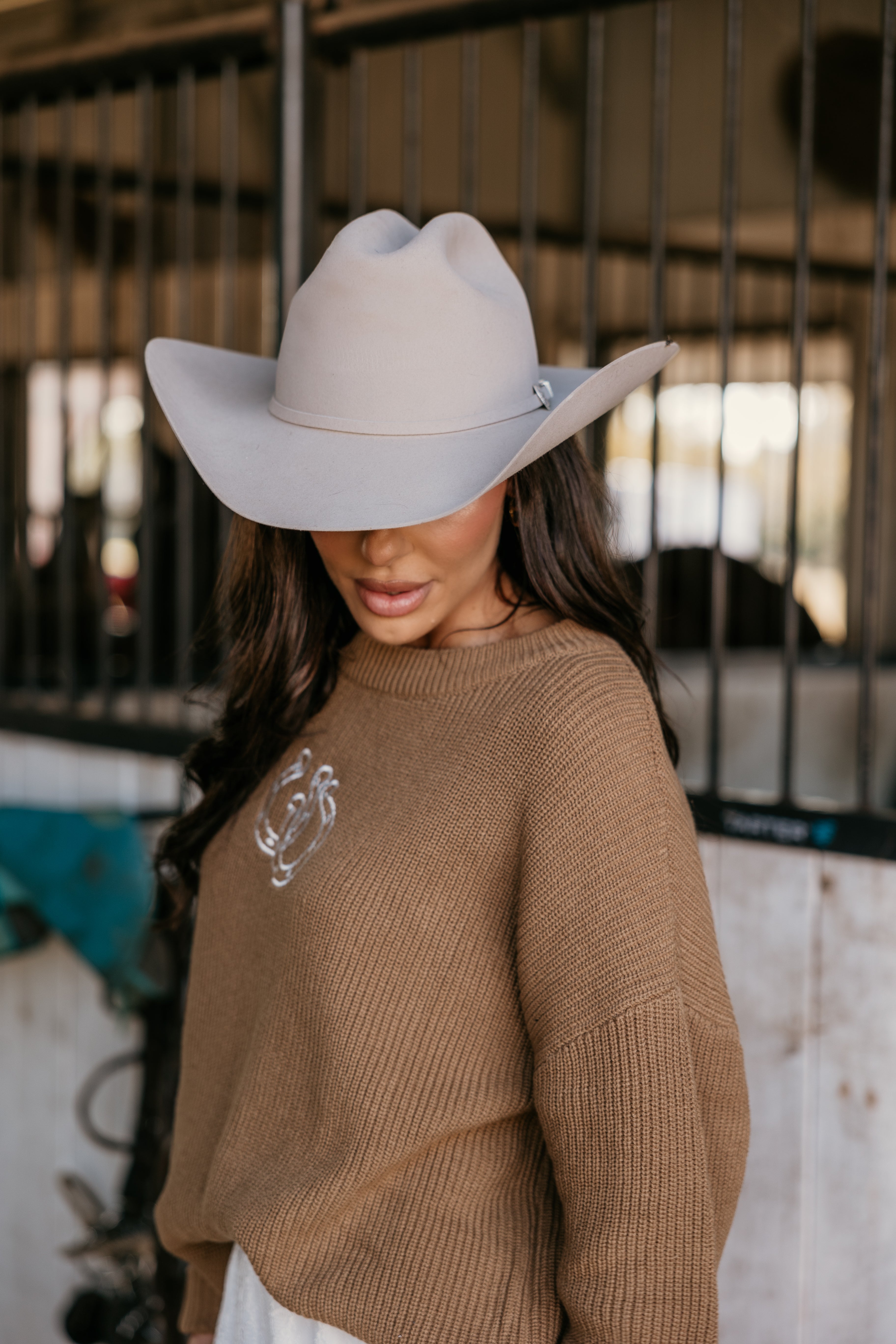 Woman in beige cowgirl hat and brown knit sweater with rodeo embroidery in a stable setting