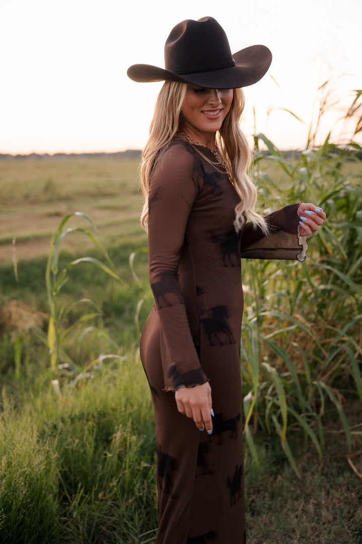 Equestrian Mesh Maxi Dress PRE ORDER 8/30