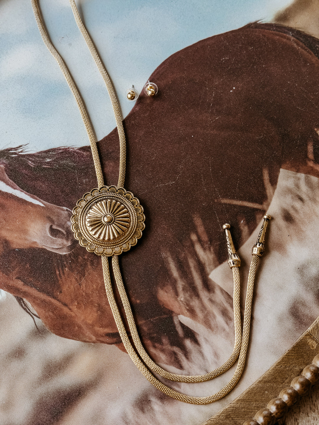Golden Mesa Concho Bolo Necklace &amp; Stud Earring Set