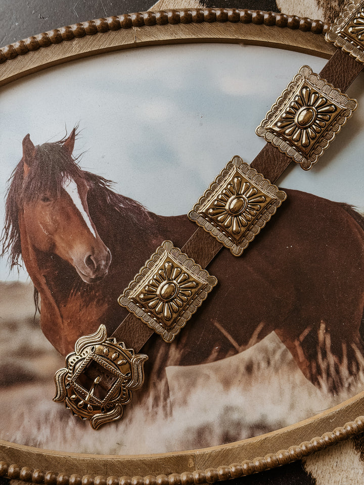 Brown Rectangle Concho Link Belt