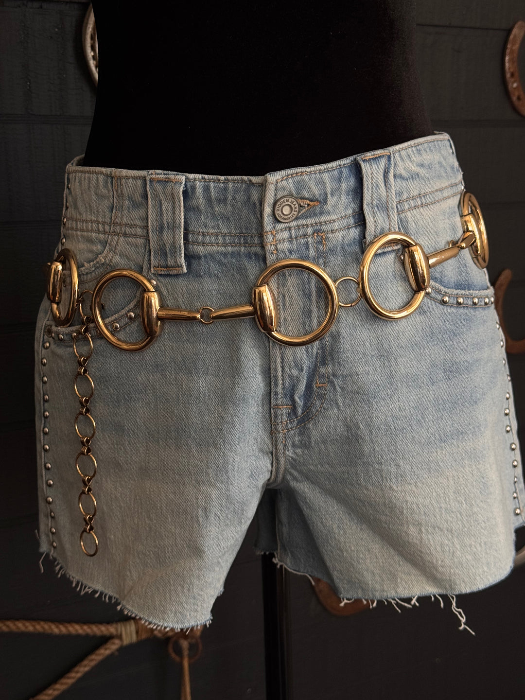 Western Horsebit Chain Belt – Gold