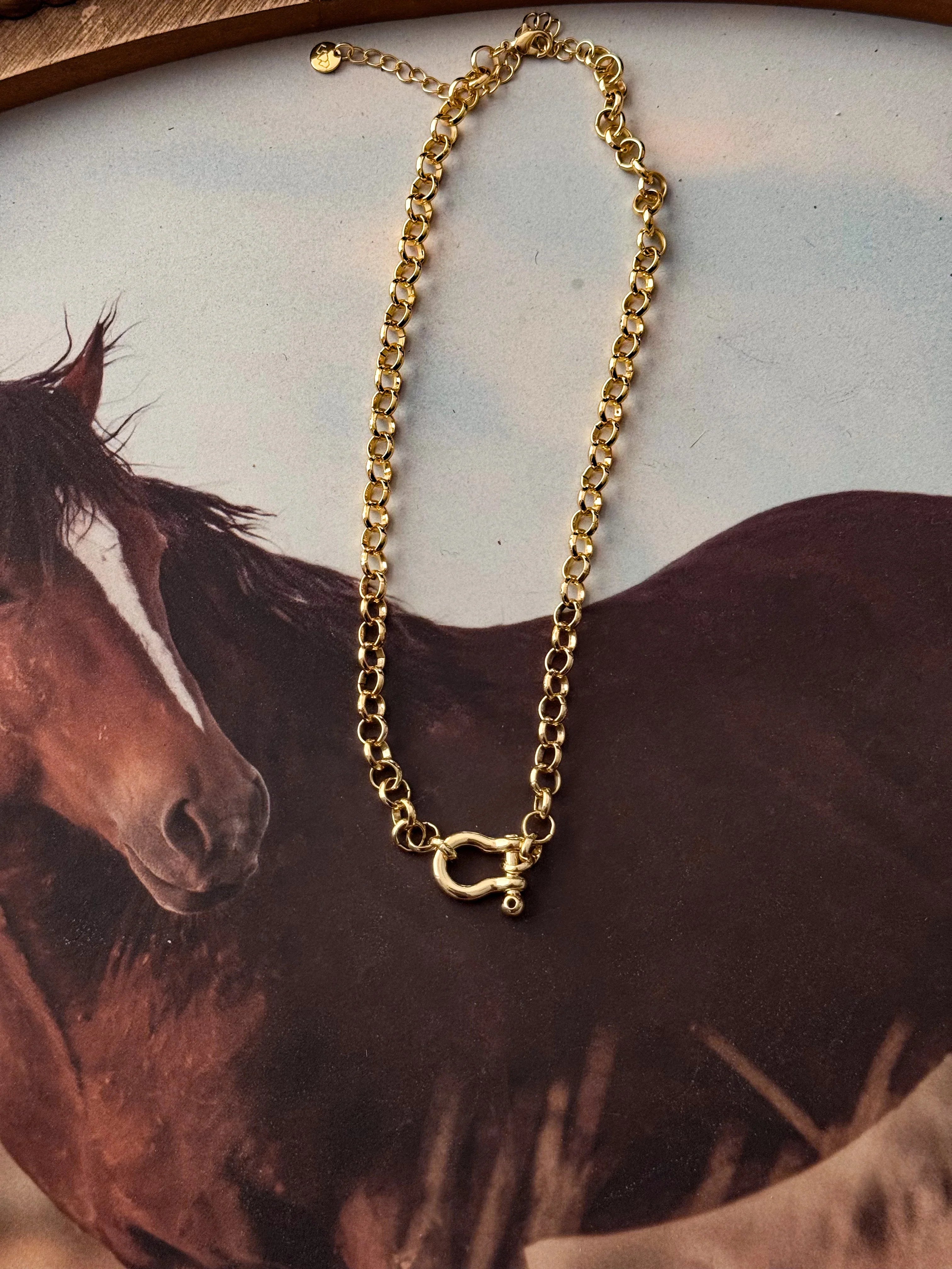 Thunderbird pendant chain necklace displayed on wooden slab with serape fabric underneath - The Wild J