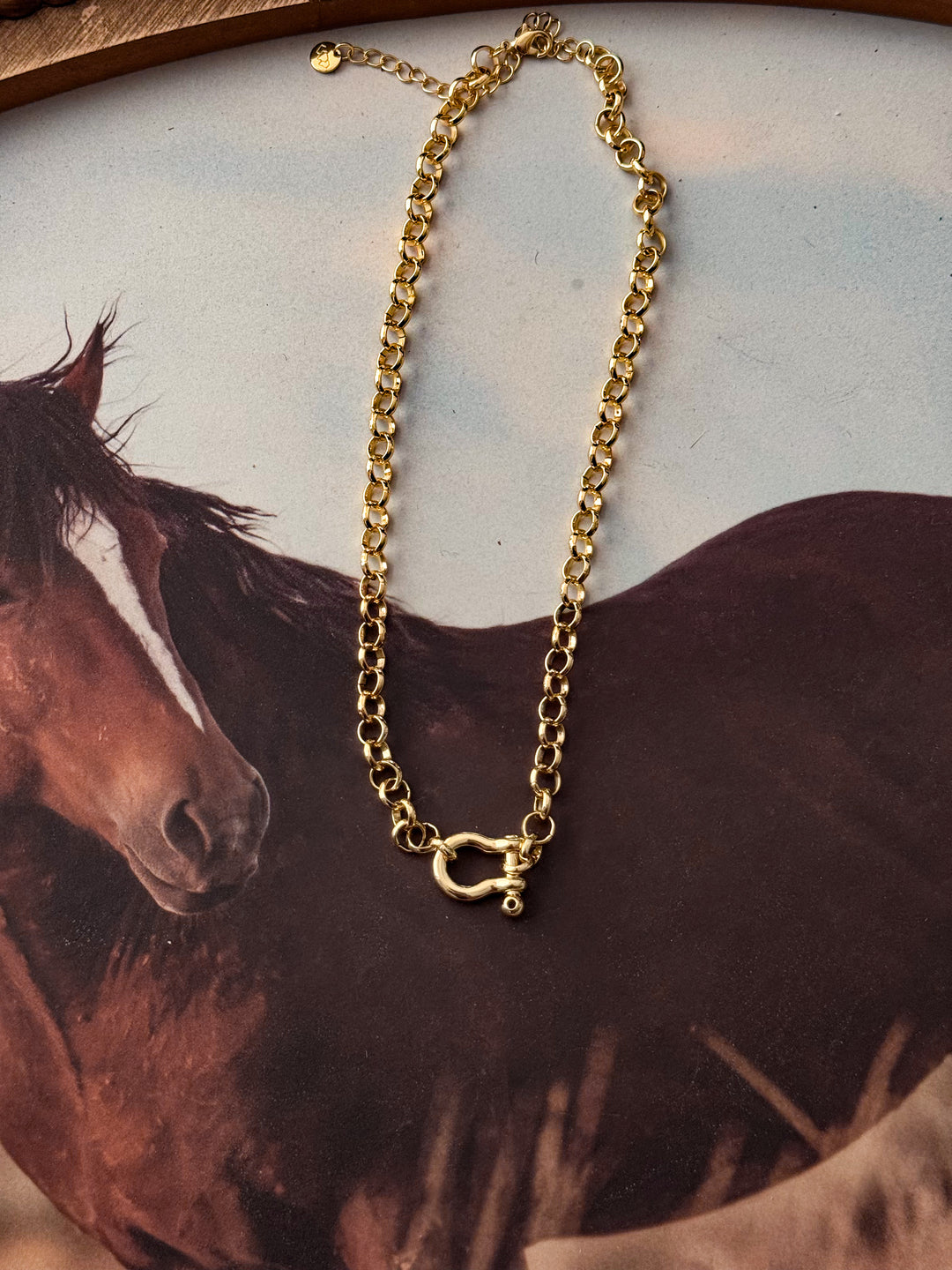 Carabiner Link necklace - Gold