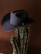Black western cowboy hat with decorative band on a green cactus, brown background
