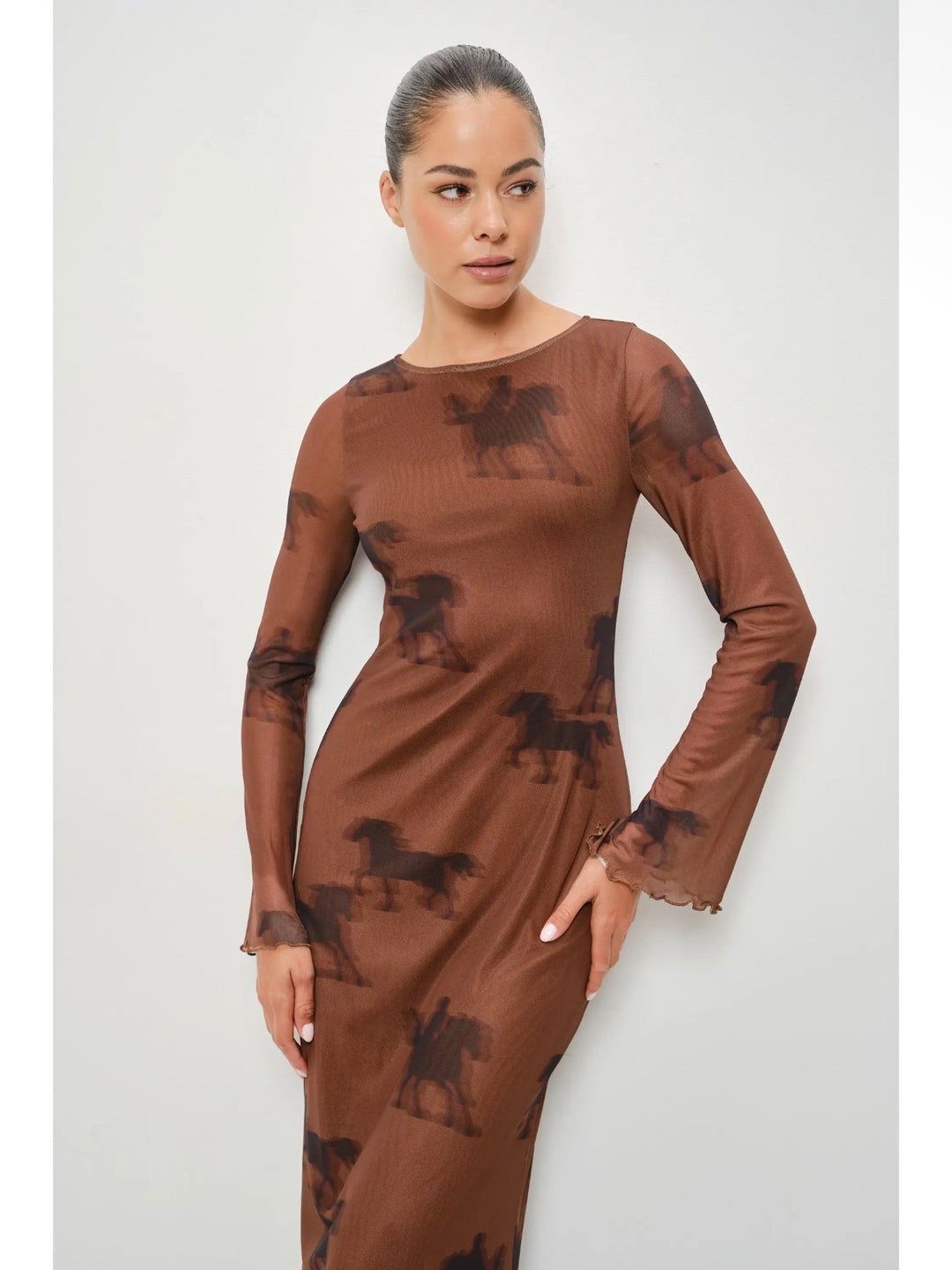 Equestrian Mesh Maxi Dress PRE ORDER 9/15