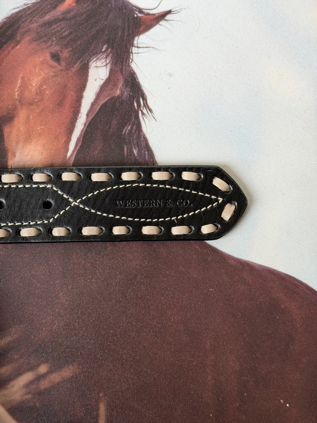 The Classic Buck Stitch Belt - Black