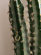 Western boho beaded necklace with gold horseshoe pendant on cactus