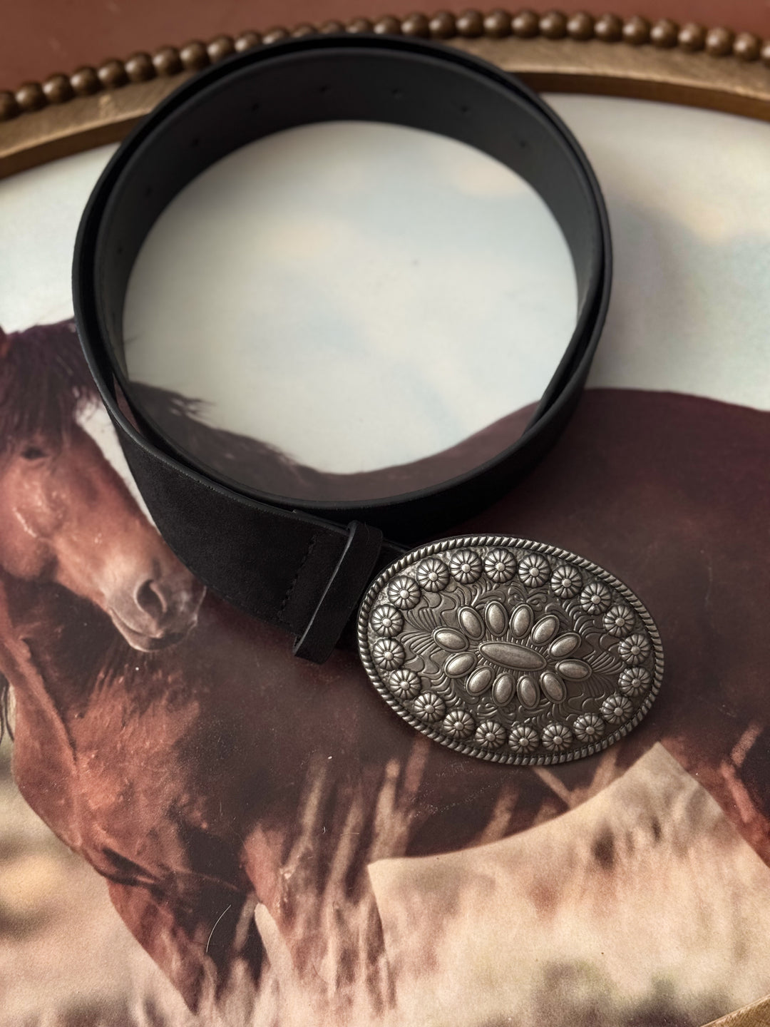 Concho Daisy Belt - Black