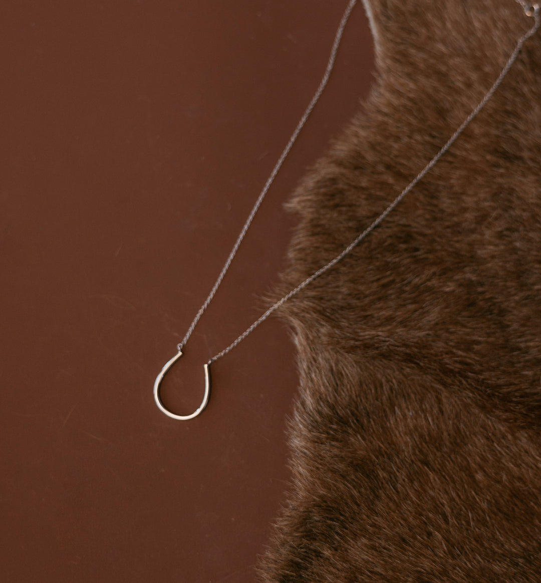 Silver Lucky Horseshoe Necklace