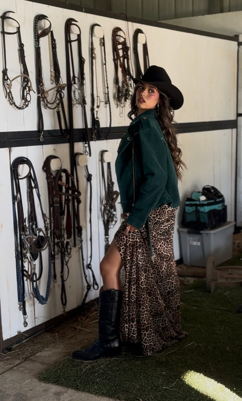 Ruched Leopard Mesh Dress