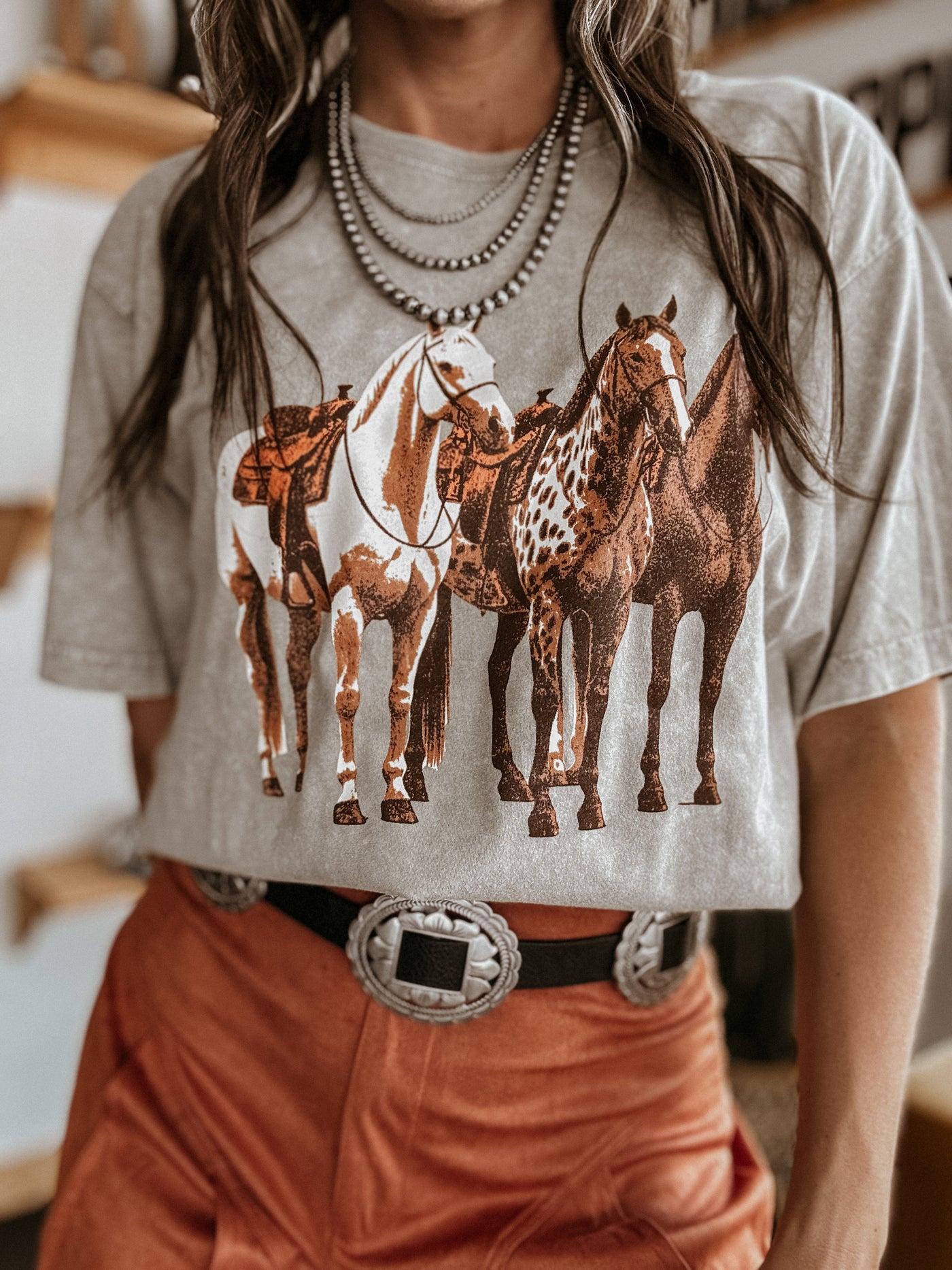 The Horse Trio Graphic Tee