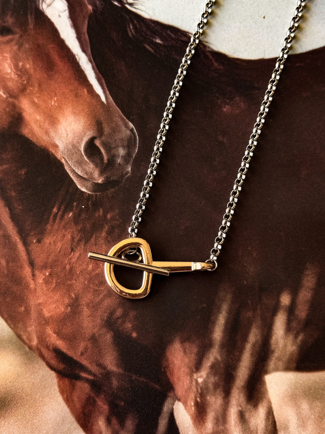 Snaffle Bit & Toggle Two Tone Necklace - Stainless Steel