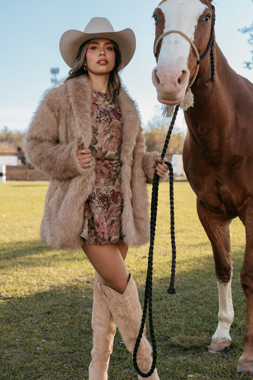 Rose Jacquard Mini Dress