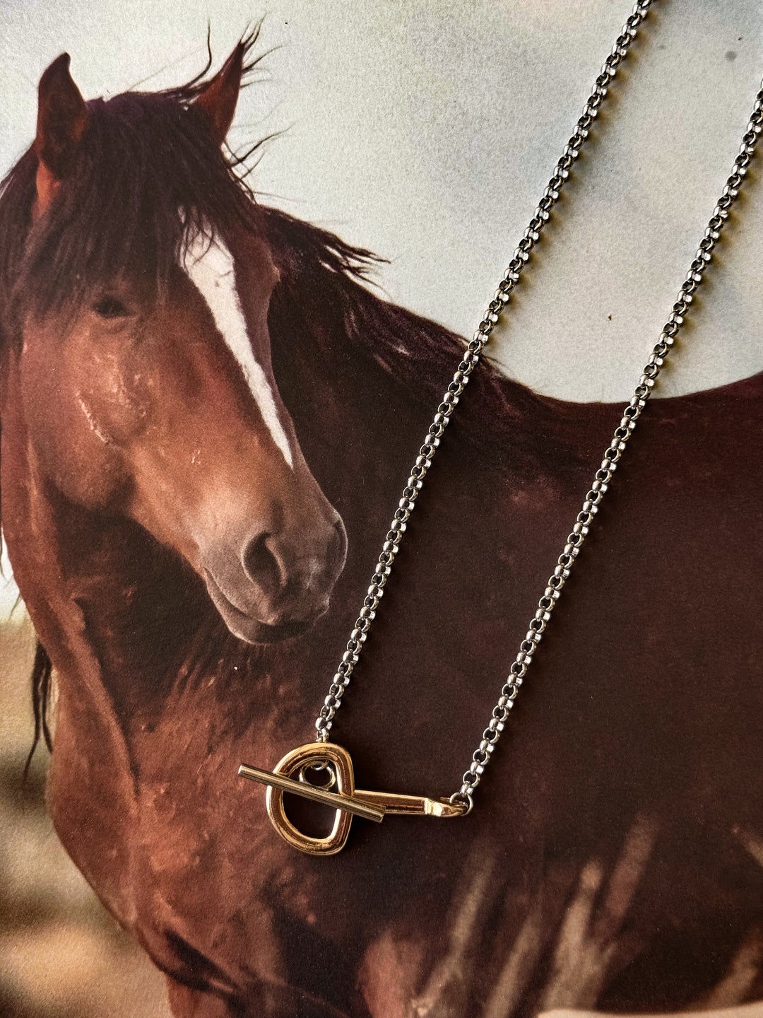 Snaffle Bit & Toggle Two Tone Necklace - Stainless Steel