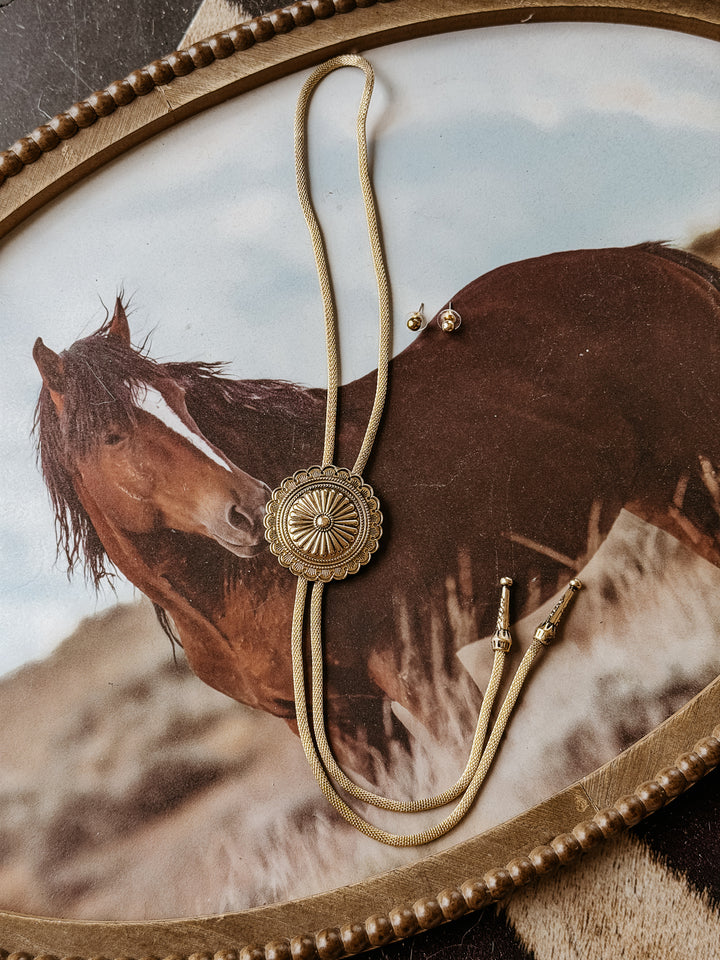 Golden Mesa Concho Bolo Necklace &amp; Stud Earring Set
