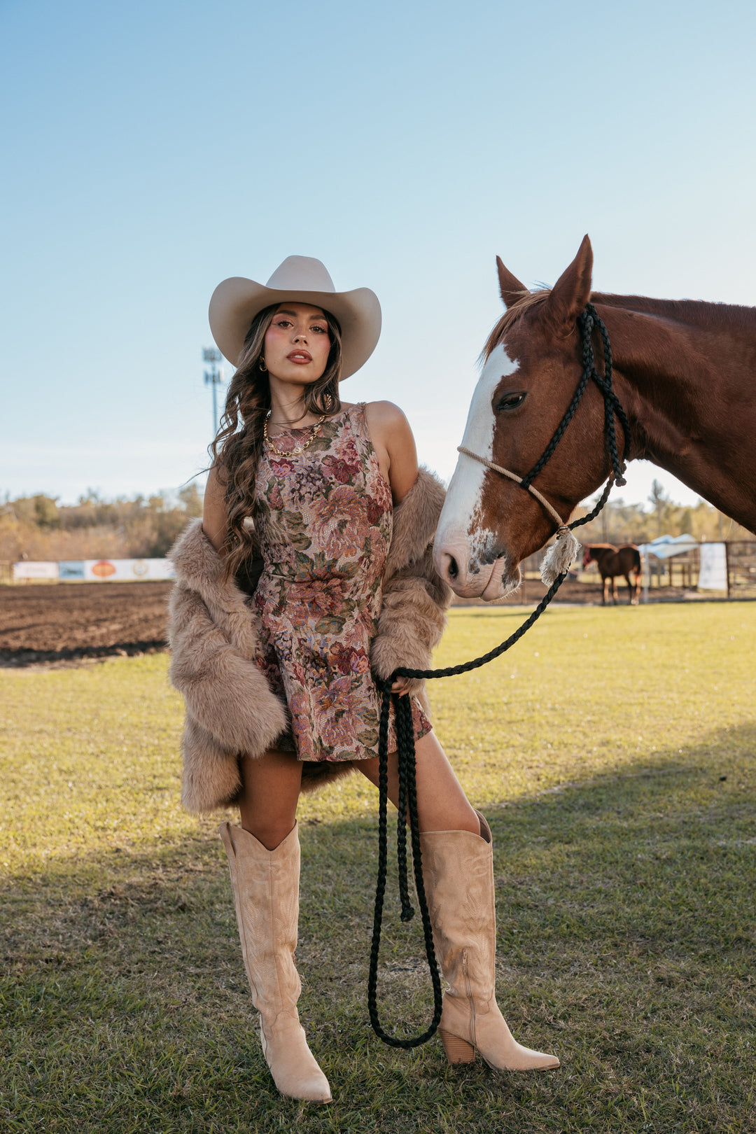 Rose Jacquard Mini Dress