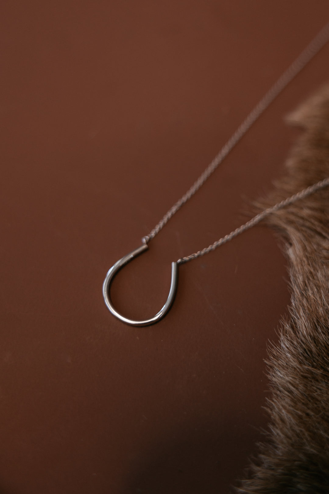 Silver Lucky Horseshoe Necklace