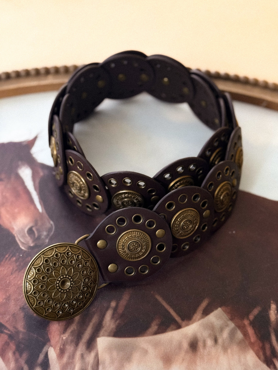 Vintage Medallion Panel Belt – Brown
