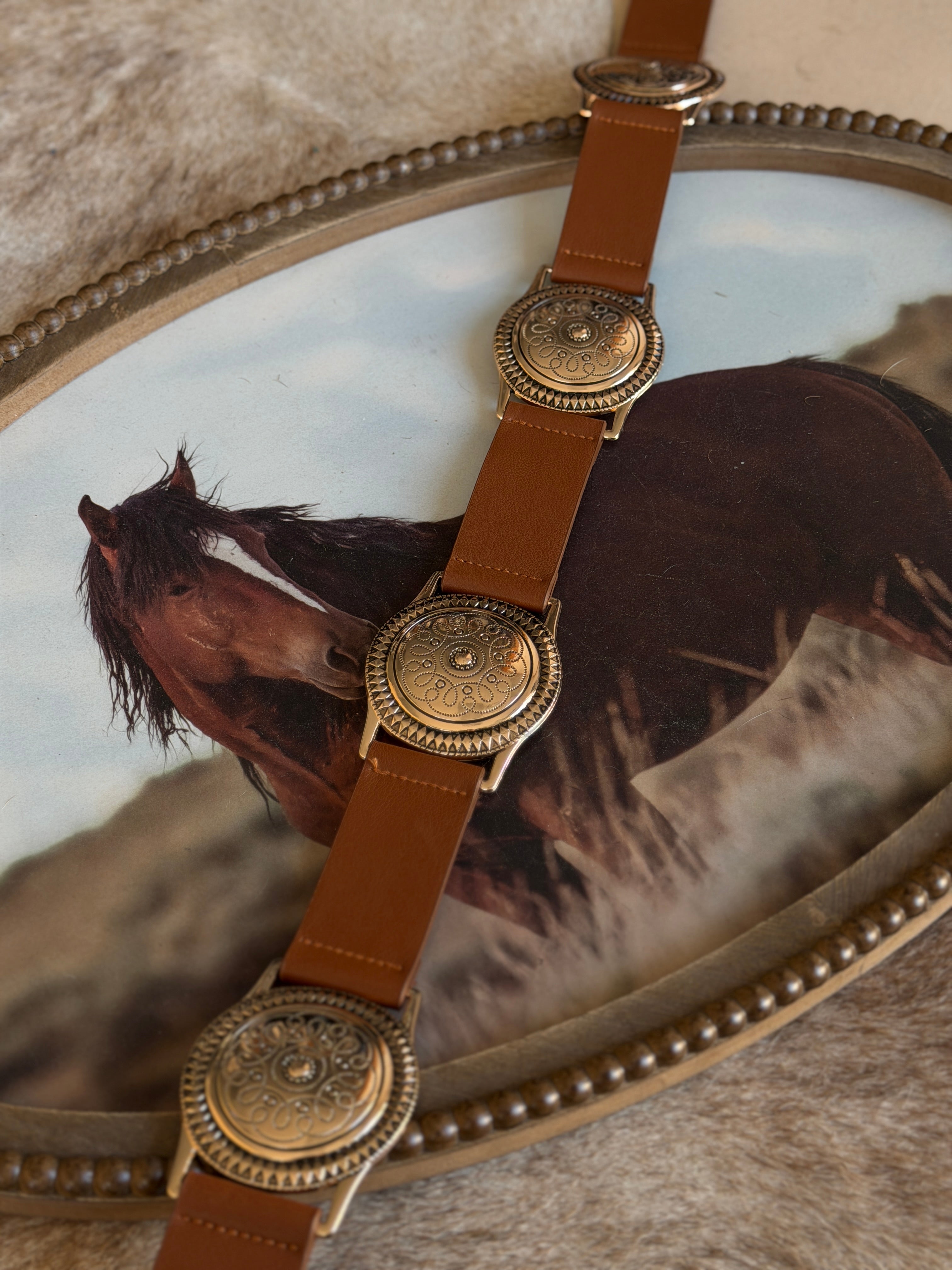 Brown leather western concho belt with engraved silver details on a horse-themed background