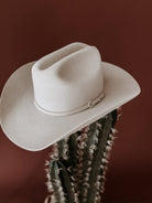 Beige felt western cowboy hat on cactus with brown background, cowgirl boho accessory