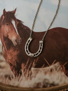 Silver horseshoe necklace on chain with brown horse and western background, western jewelry