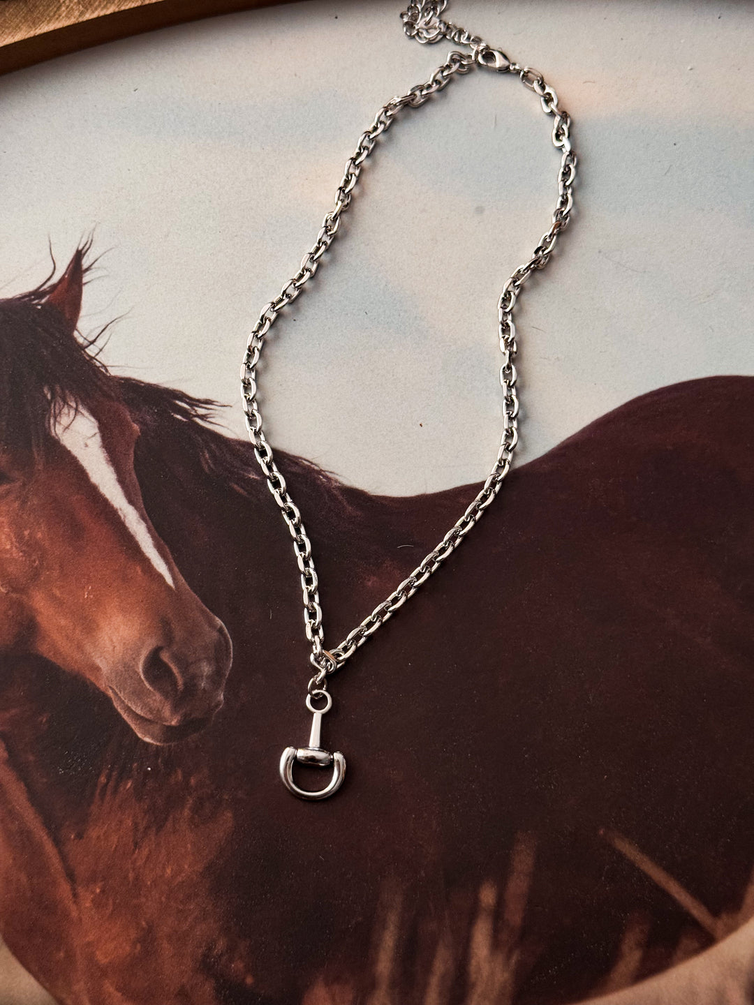 Bit necklace - Silver