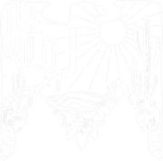 The Wild J